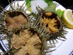 海胆-海鼎荟海鲜姿造(仟禧汇店)