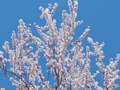-朝阳公园