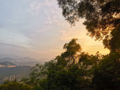 -梧桐山风景名胜区