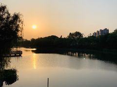 -新江湾城公园