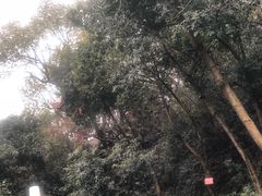 -杭州少年儿童公园