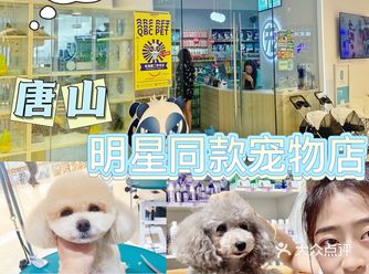 唐山明星同款宠物店️好想全部带回家