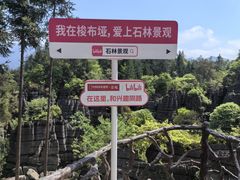 -梭布垭石林景区