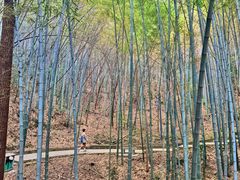 -敬亭山风景名胜区