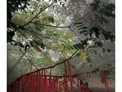 -大芦花风景区