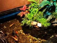 -隐炉和牛烧肉店(群力店)