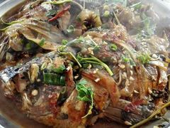 -庆岭迎宾园正宗活鱼馆