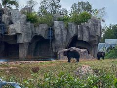 -海南热带野生动植物园