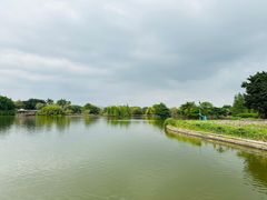 -海珠湖公园