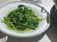 清炒鸡毛菜-徽镇小厨·经典徽菜(马连道店)