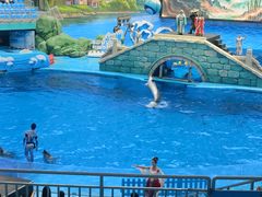 -海合安成都极地海洋公园