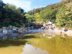 -北京西山国家森林公园