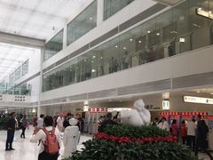 -北京协和医院(东单院区)