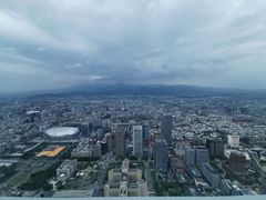 -欣叶食艺轩