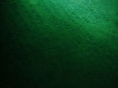 -白鹤梁水下博物馆