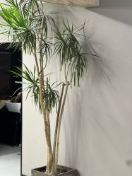 -宫铭烫发染发接发店