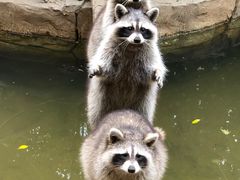 -长鹿旅游休博园