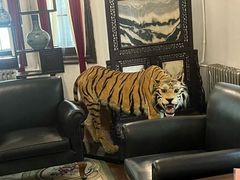 -张学良旧居陈列馆