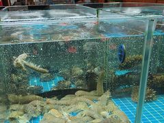 -渔码头食府(蓬莱阁店)