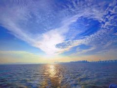 -港珠澳大桥(珠海段)