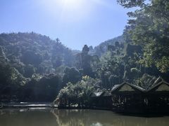 -西双版纳原始森林公园