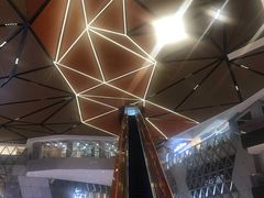-真快活Coohoo Max(武汉绿地新田360店)