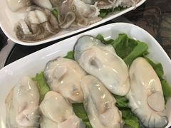 -蚝专家