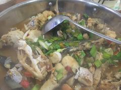 -全乐鱼馆·淳牌有机鱼直营店
