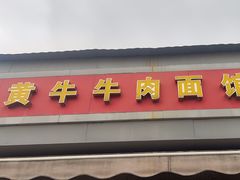 -黃牛牛肉面馆