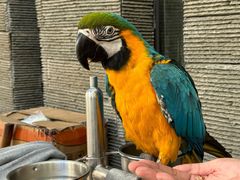 -观桥阁(锦溪店)