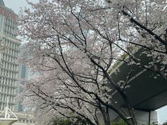 -陆家嘴空中步行连廊