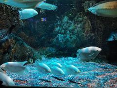 -太平洋海底世界