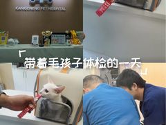 -康成宠物医院24H·CT·核磁共振