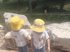 -石家庄市动物园