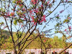 -小南山公园