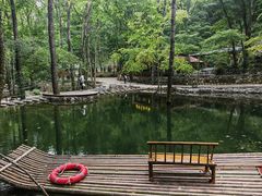-牛背梁国家森林公园