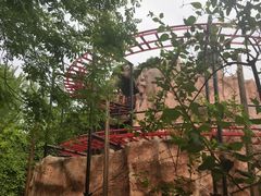 -朝阳公园游乐园