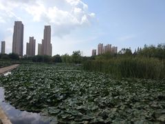 -前关湿地公园