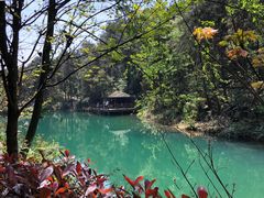 -重庆九凤瑶池海明山庄