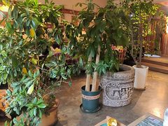 -慢丽江·云南野生菌土鸡锅(付家庄店)