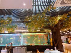 -阳光院坝小龙虾(红牌楼店)