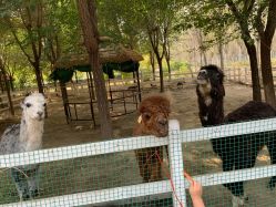 -优沃得自然教育农场·冰雪乐园·生日会·研学