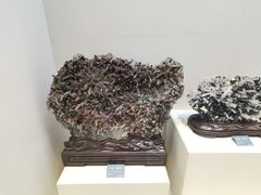 -安徽省地质博物馆