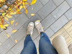 -三里屯东五街银杏大道