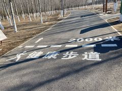 -东郊湿地公园