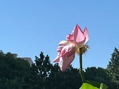 -黄兴公园