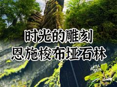 -梭布垭石林景区
