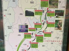 -野象谷景区