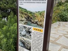 -灵山岛风景区