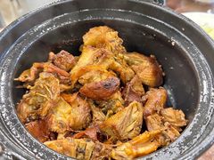 姜母鸭-斯丹姜母鸭·古法干香(涂门街总店)